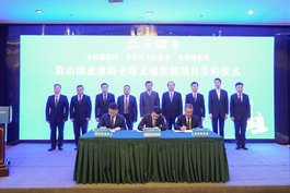 210 眉山維亞康姆國際文創項目正式落戶