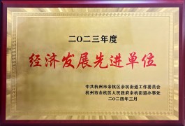 404 城西德奧榮獲“2023年度經濟發展先進單位”榮譽稱號